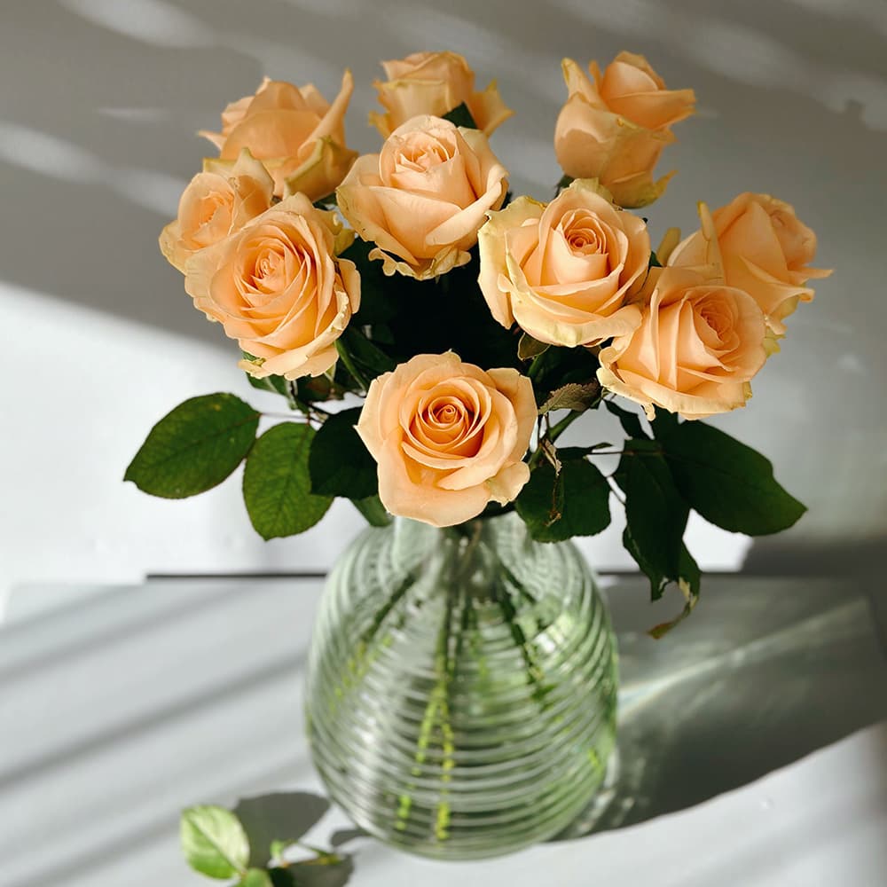 A bouquet of pale peach roses in a clear glass vase.
