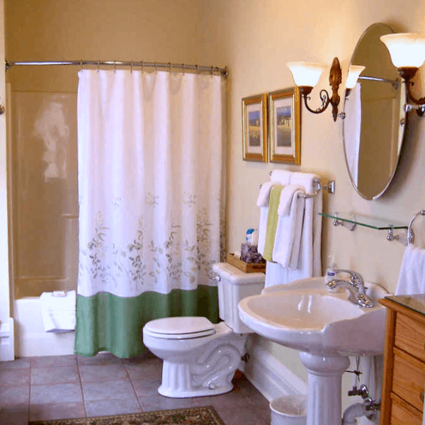 A cozy bathroom featuring a shower, toilet, sink, and decorative accents.