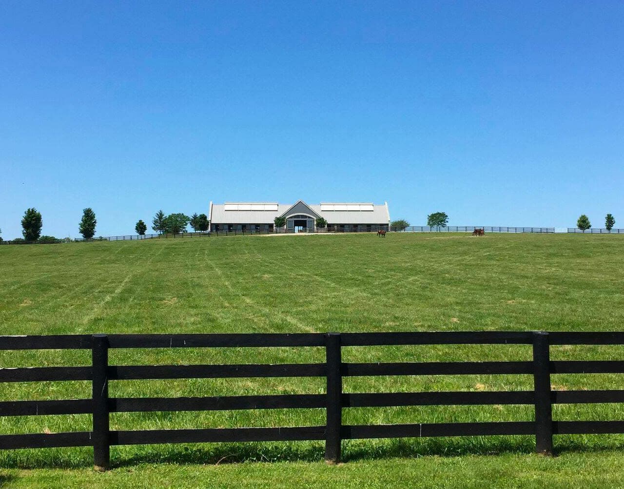 A spacious green field with a modern farmhouse and a black fence under a clear blue sky.